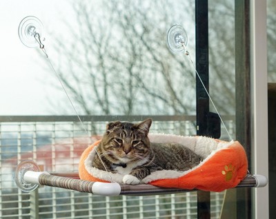 Cat Perch Kitty Post Condo Tree Window ...