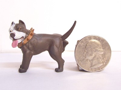 Brown White Pit bull Dog 2