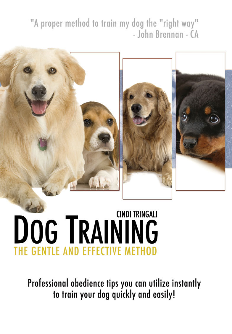 How To Train Your Dog The Gentle ...