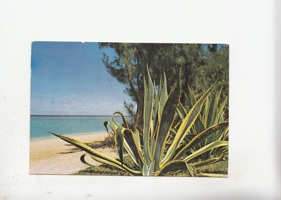 Image BF17979 albion beach pearl of th l ile maurice mauritius types front/back image Image BF17979 albion beach pearl of th l ile maurice mauritius types front/back image