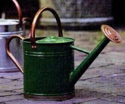 Green Watering Can Copper Gardman Hunter Accents ...