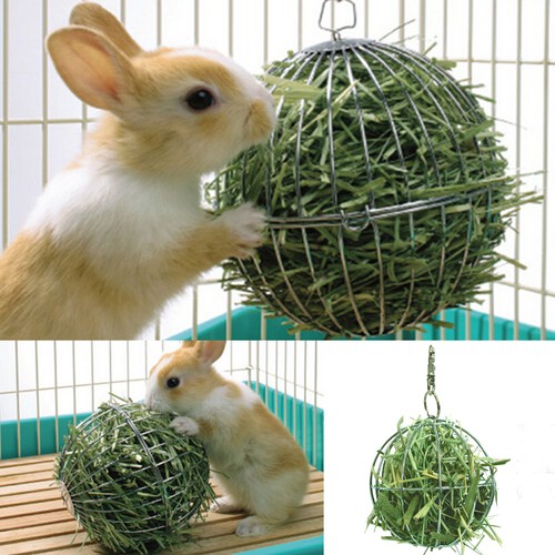 Sphere Feed Dispenser Hanging Ball Toy Guinea ...
