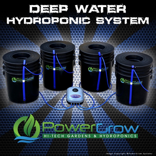 Deep Water Culture System DWC Hydroponic Bubbler 4 Bucket 6 Inch Kit eBay