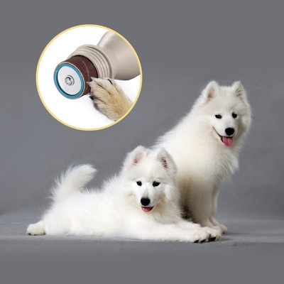 Pet animal dog cat claw toe nail ...
