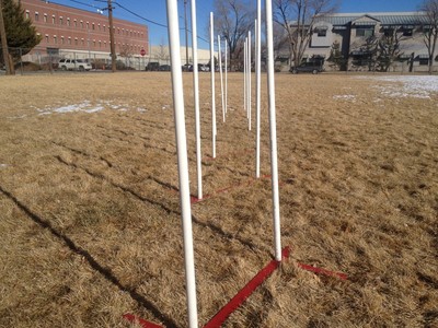 Dog Agility Equipment Set of 2 Weave ...