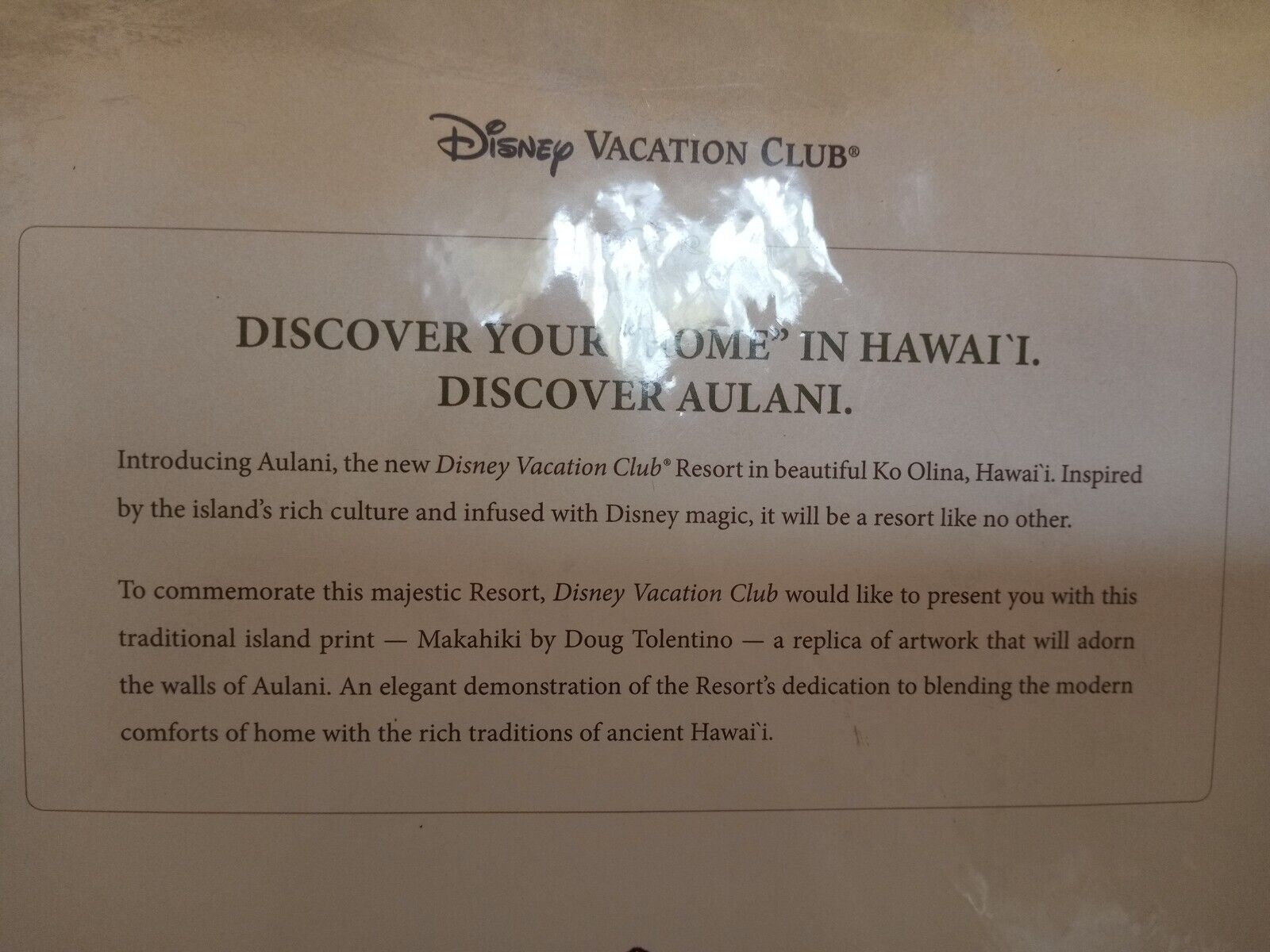 Disney Vacation Club Members 11x14 Aulani Hawaii Resort Print Art Makahiki NEW 