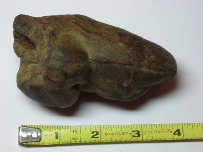 Fossil Dinosaur Bone, Could Be A Penis Or A Claw Or A Toe, I Dont Know ????? Fossil Dinosaur Bone, Could Be A Penis Or A Claw Or A Toe, I Dont Know ?????