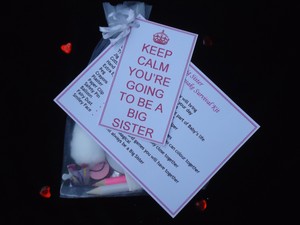 baby survival shower ideas kit Sister Big Brother Novelty Survival and or Kit Baby New