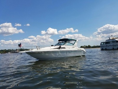 1993 Sea Ray Sundancer 300