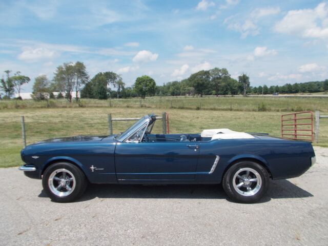 Image 1 of Ford: Mustang Blue