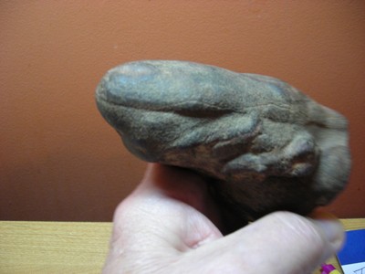 Fossil Dinosaur Bone, Could Be A Penis Or A Claw Or A Toe, I Dont Know ????? Fossil Dinosaur Bone, Could Be A Penis Or A Claw Or A Toe, I Dont Know ?????