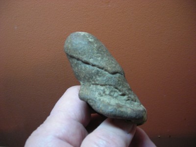 Odd Fossil Dinosaur Bone, Could Be A Penis Or A Claw Or A Toe, I Dont Know ??? Odd Fossil Dinosaur Bone, Could Be A Penis Or A Claw Or A Toe, I Dont Know ???