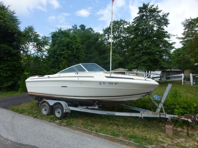 21' SeaRay Boat with Cuddy Cabin and 24' Sea Lion Trailer