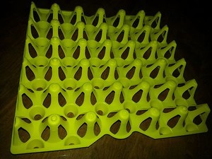  Egg Trays for Incubator Storage Cleaning Holds 30 Eggs Was 30 | eBay