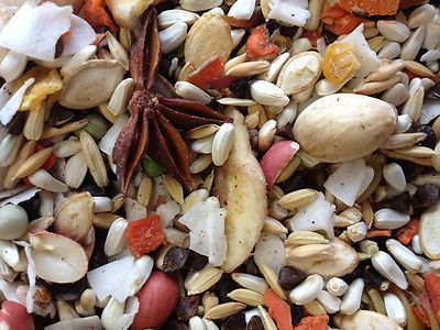 Hookbill Cuisine Bird Food Medium to Large ...