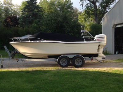 19' grady white