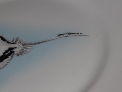 Bermuda Longtail Phaethon Lepturus Queen's Rosina China England plate