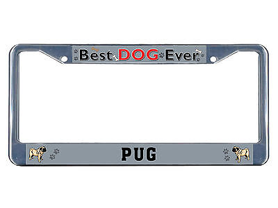 Pug Dog Best Dog Ever Chrome Metal License Plate Frame Tag (Best License Plate Frame Ever)