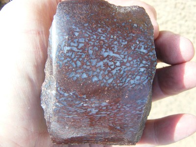 Dinosaur Gembone Purple Bone With Blue Cells/ Gem Grade For Jewelry Or Display Dinosaur Gembone Purple Bone With Blue Cells/ Gem Grade For Jewelry Or Display
