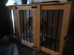 New & Used Pet Accessories in Saskatoon Kijiji