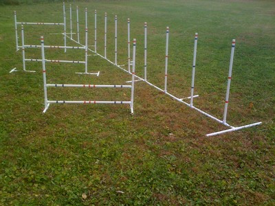 Dog Agility Equipment for Everyone and Every ...
