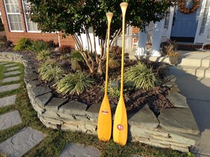 Nice 039 Old Town 039 Wooden Paddle w Labels Boat Oar Paddles Canoe w 