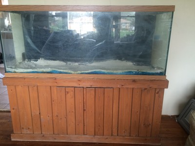 125 gallon fish tank aquarium with pine ...