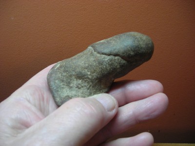Odd Fossil Dinosaur Bone, Could Be A Penis Or A Claw Or A Toe, I Dont Know ??? Odd Fossil Dinosaur Bone, Could Be A Penis Or A Claw Or A Toe, I Dont Know ???