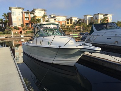 BOAT/Trophy Pro 2902 walkaround fishing machine
