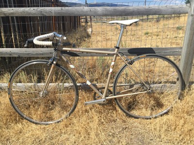 Salsa Casserole Single Speed/Fixed Gear (flip flop) w/ Phil Wood Hub 51cm