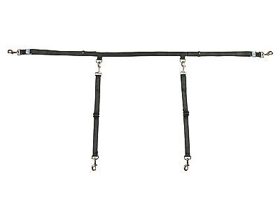 Truck Bed Two Dog Tether Vehicle Harness ...