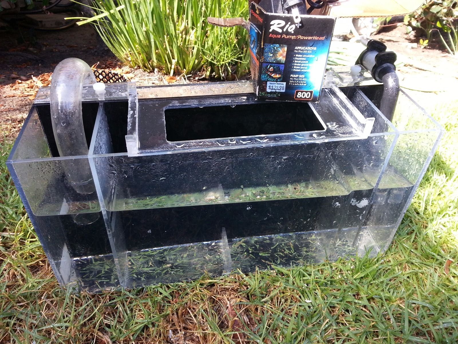 How to Build a Refugium Filter eBay
