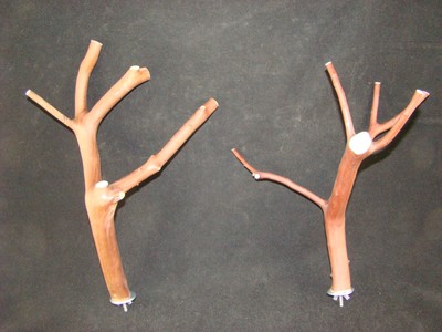 Manzanita Bird Perches 2 pack w/ hardware ...
