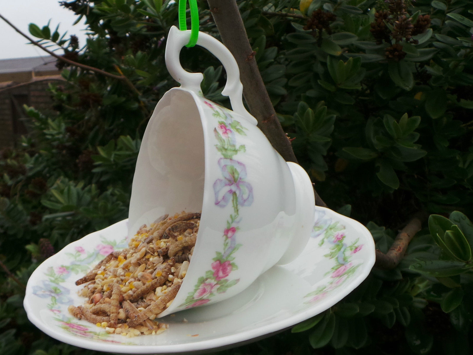 How to Make a Cup and Saucer Bird Feeder eBay
