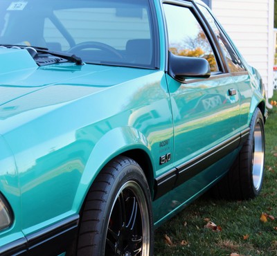 1991 Mustang 5.0 Notchback,5spd,bright Calypso Green ... 1991 Mustang 5.0 Notchback,5spd,bright Calypso Green ...