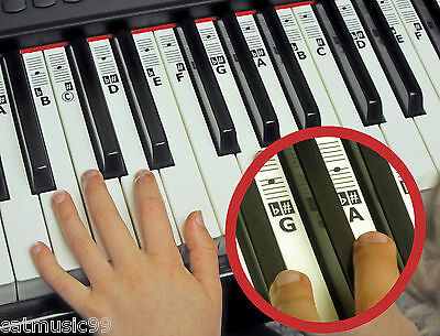 PIANO KEYBOARD Music NOTE STICKERS  Learn to Play - 52 Clear KEYNOTES Key Labels