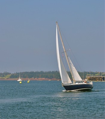 Pearson 10 meter (33 foot) sailboat