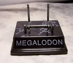 STUNNING MEGALODON TOOTH DISPLAY STAND FOR MEGALODON SHARK TEETH