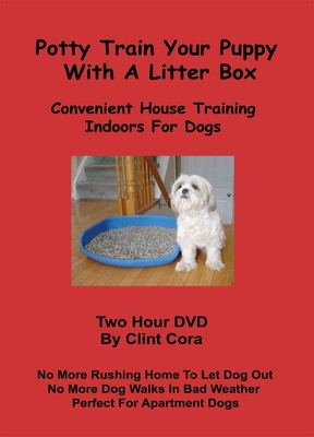 Potty Train Your Puppy With Litter Box ...