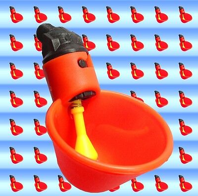 6 Set Poultry Water Drinking Cups- Chicken ...