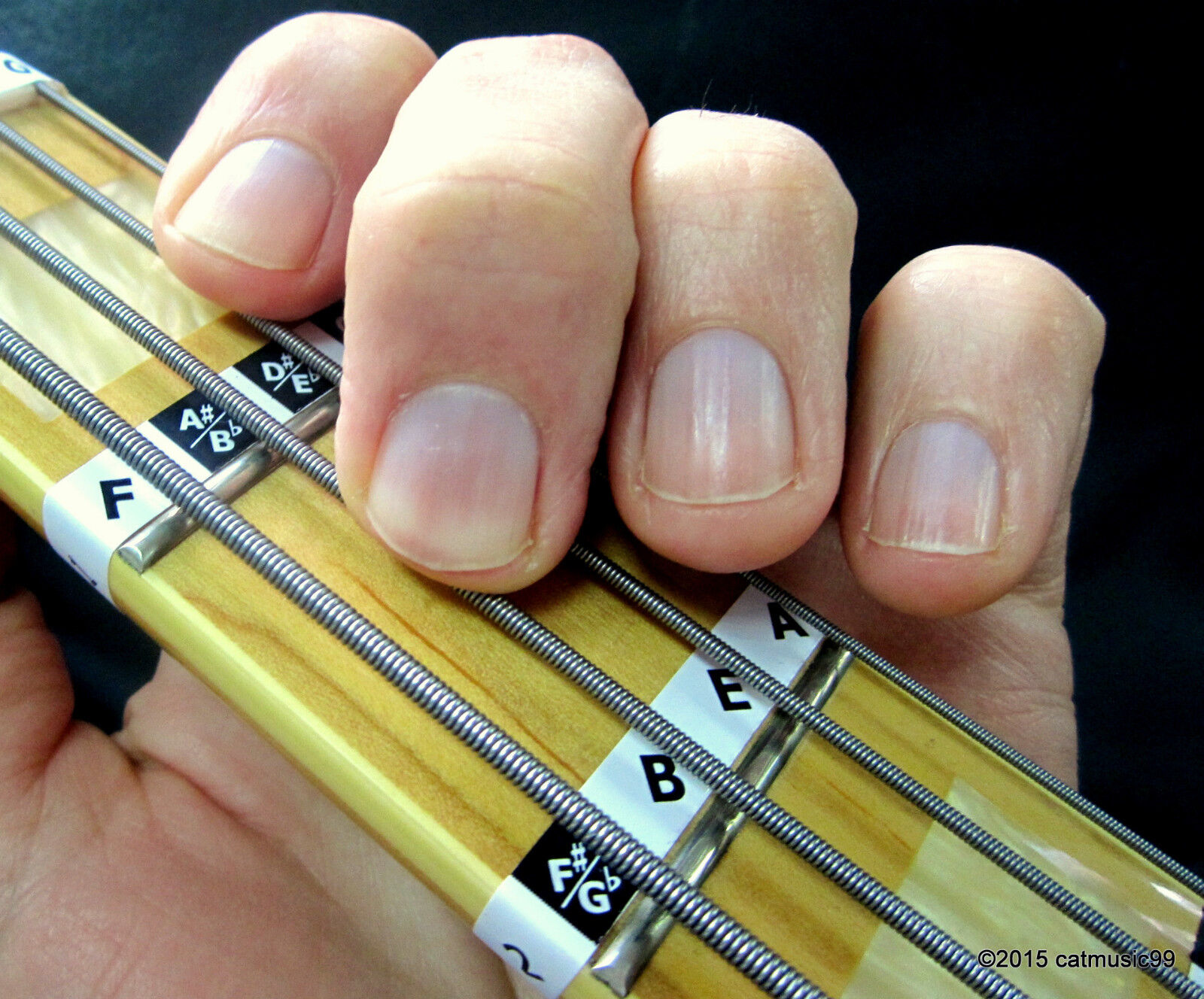 Bass Guitar Fretboard Note Labels Fret Stickers + Online Lessons & Learning Aids