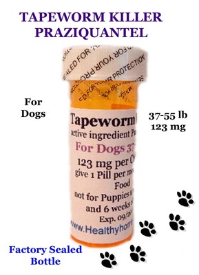 Tapeworm Killer Dewormer Praziquantel for Dogs 6 ...
