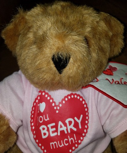 Vermont Teddy Bear Valentines Day Brown Bear Stuffed Animal Plush