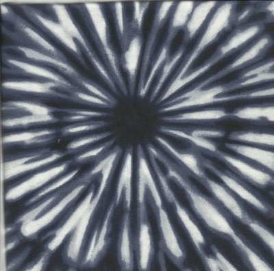 Curtains Ideas apt 9 shower curtain : Ocean Surf Sunburst Blue Indigo White Fabric Apt. 9 Shower Curtain NEW