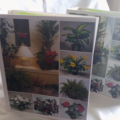 SUCCESS WITH HOUSE PLANTS 2 2 2 ...