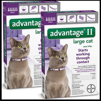 Bayer Advantage II Flea Control for Pet ...