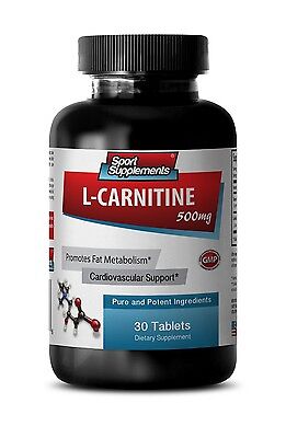 Best Fat Burner - L-Carnitine 500mg - Amino Acid for Good Health Pills (Best Carnitine Fat Burner)
