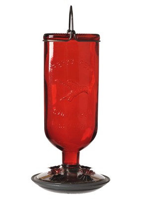 Perky-Pet Antique Glass Bottle Hummingbird Feeder-16-Ounce Capacity ...
