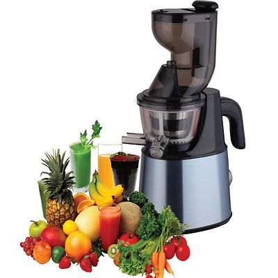 ElectriQ Whole Fruit Slow Masticating Juicer Fruit vegetable Juice Extractor