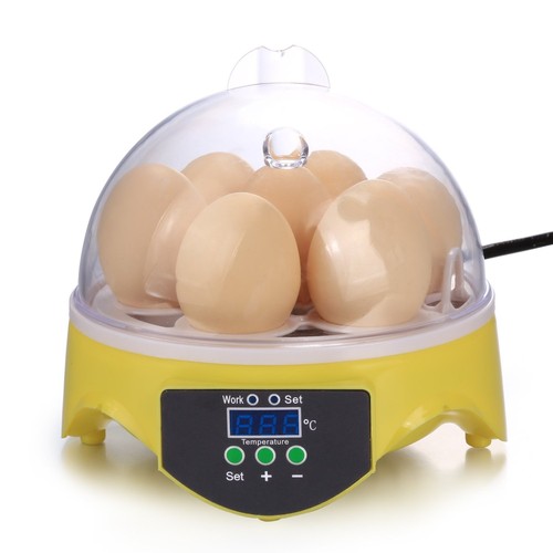 Automatic Clear Digital Chicken Duck Bird 7 ...